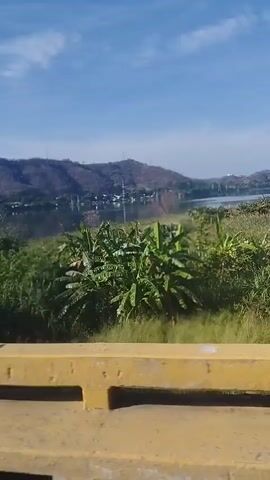 The video captures a bright, sunny daytime scene from a moving vehicle, likely a motorcycle, as it traverses a bridge over a large body of water.

**Subjects & Scene:**
The initial frames offer a panoramic view of a calm, reflective body of water, possibly a lake or wide river. In the distance, rolling hills and mountains, appearing brownish with sparse vegetation, frame the horizon. Small, indistinct structures are visible along the distant shore, nestled at the base of the mountains. The sky above is a clear blue with scattered white, wispy clouds. In the foreground, a sturdy yellow concrete barrier runs along the edge of the road, partially obscuring lush green tropical vegetation, including plants with large, broad leaves reminiscent of banana trees, and other dense foliage.

**Activity:**
The primary activity shown is riding or driving across the bridge. The camera first provides a scenic side view, panning across the water and distant landscape, before shifting to a forward-facing perspective from the vehicle's point of view.

**Notable Details:**
As the perspective changes, the bridge's structure becomes more apparent. The road is paved with a white dashed line indicating lanes. The yellow concrete barrier transitions into a gray metal guardrail system, composed of three horizontal bars. Overhead, streetlights and power lines are visible. Further down the road, a distant individual on a bicycle can be seen riding on the right side. A tall, rectangular sign structure is also visible in the distance, though its text is illegible. The immediate foreground of the forward-facing shot reveals a blue and black patterned surface, consistent with a motorcycle helmet or part of the vehicle. The overall impression is one of clear weather and scenic travel in a tropical or subtropical environment, consistent with locations like La Cabrera, Venezuela.