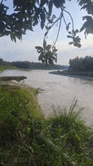 River landscape filmed in Kulu, Indonesia