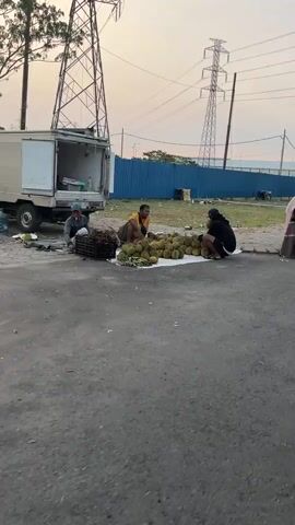 Two individuals are crouched on the ground next to a large pile of durian fruit. One person, wearing a yellow shirt, is actively engaged with the fruit, possibly arranging or inspecting it. The second person, dressed in black, appears to be observing or resting. They are situated on an asphalt surface, likely a roadside or market area. In the background, a white truck or van is visible, with its back doors open, suggesting it might be used for transport or sales. Further back, a blue corrugated metal fence runs horizontally, with large electrical pylons towering behind it. The sky is overcast, indicating it might be dawn or dusk. The overall scene depicts an outdoor market or roadside fruit stall.