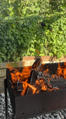 Wood fire burning in a backyard grill, Аксёно-Бутырки