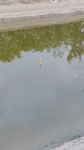 A fishing rod with a float is submerged in murky water, with reflections of trees and the shore visible on the surface.