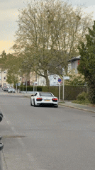 Sports car and garden ornaments spotted in Luxembourg residential area