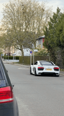 Sports car and garden ornaments spotted in Luxembourg residential area