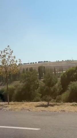 The video shows a view from a moving vehicle on a sunny day. The landscape is dry and arid with rolling hills in the background. There are several rows of trees planted along the hills, and a few scattered trees in the foreground. The road appears to be asphalt with a white line marking the edge. There are some bushes and dry grass along the side of the road. The sky is clear and blue. The vehicle is moving to the right.