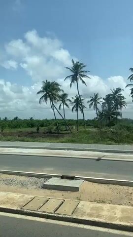 The video shows a view from a moving vehicle. The camera looks out over a newly paved road and a sandy area on the side. Beyond the sandy area is a field of grass, trees, and several tall palm trees swaying in the breeze. The sky is blue with scattered white clouds. Street lights line the road. The overall scene depicts a tropical or semi-tropical environment. The audio includes background music.
