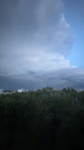 The video shows a view of a sky with clouds and a distant city skyline over a dense line of trees. The sky is mostly filled with large, gray, and white clouds, with a patch of bright blue sky visible on the far right. There are some darker, rain-like clouds in the distance. The trees are dark green and appear to be quite thick. The city skyline consists of several white buildings. The time of day appears to be late afternoon or early evening. The video is static, with no movement or changes in the scene.