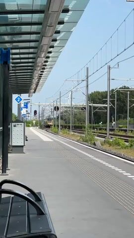 The camera is stationary at a train station platform with overhead shelter. A yellow train approaches on the tracks in the distance.  The platform is gray with a tactile warning strip. Benches are visible in the foreground.  A trash receptacle and informational signs stand near the edge of the platform. Trees line the background, with power lines overhead. The sky is clear and blue. Red signal lights are active near the train.