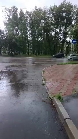 The video shows a view of a wet road from the curb, with red and tan interlocking pavers in the foreground. Trees line the background, and a few buildings are visible. A dark SUV drives across the road from left to right. A light-colored car then drives from right to left across the road. Another light-colored car drives from right to left.