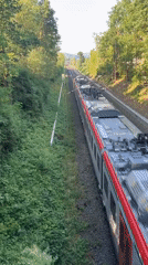 Trains, roses, and open roads in rural Neustadt
