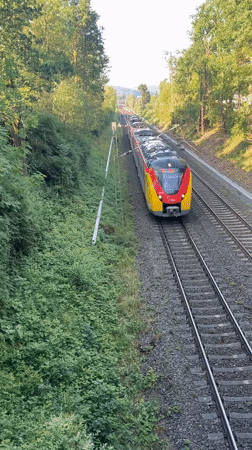 Trains, roses, and open roads in rural Neustadt