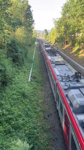 Trains, roses, and open roads in rural Neustadt
