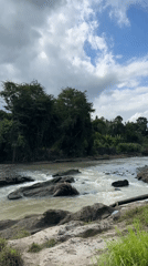 Milky river flows past lush vegetation in Kerambitan