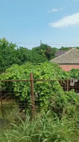 The video shows a view from a moving vehicle. In the foreground, there is a wire fence with metal posts. Beyond the fence, there are green trees and vegetation. The sky is blue with some white clouds. The motion blur suggests the video was taken while traveling at some speed.