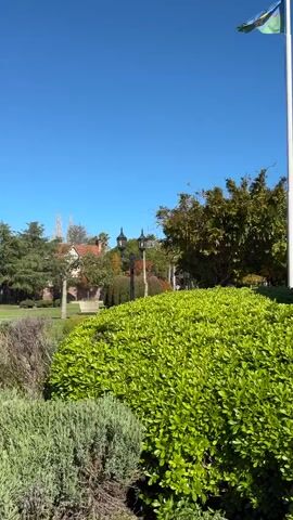 The video shows a statue of General Manuel Belgrano in a park under a clear blue sky. Behind the statue are three flagpoles with flags waving in the wind. Green bushes surround the statue, and trees and lampposts are visible in the background. The statue depicts Belgrano seated in a contemplative pose.