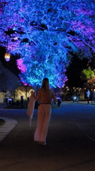 Night garden scenes captured in Kediri, Indonesia