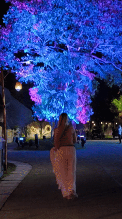 Night garden scenes captured in Kediri, Indonesia