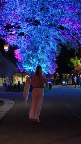 Night garden scenes captured in Kediri, Indonesia