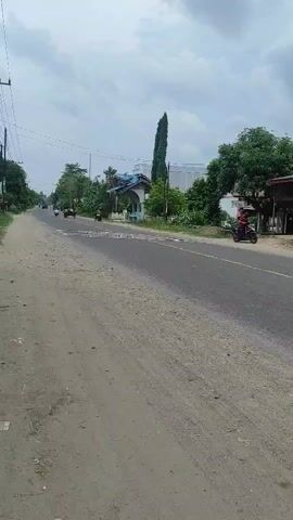 The video captures a daytime scene on a road in Lancang Barat, Indonesia, under an overcast sky. The camera is static, positioned on an unpaved, sandy-colored shoulder overlooking a paved two-lane road.

Motorcycles are the primary subjects and activity. At the beginning, a person on a dark-colored scooter, wearing a light brown top and a helmet, rides away from the camera on the paved road. The license plate "B 5013 NBY" is partially visible on this scooter. Further down the road, a series of white-painted speed bumps are present across both lanes.

Throughout the video, multiple motorcycles travel along the road. A group of three motorcycles approaches and crosses the speed bumps, heading towards the camera's direction. One of these motorcycles is white. On the right side of the paved road, another stationary black motorcycle is visible next to a building, with its rider wearing a red helmet.

The setting includes power lines running along the left side of the road, numerous green trees on both sides, and various single-story buildings. A prominent tall, narrow tree stands in the mid-ground, behind a building with a light-colored facade and a blue roof. The weather appears cloudy, and the overall impression is a typical road scene with light to moderate motorcycle traffic in a semi-rural or outer-urban area.