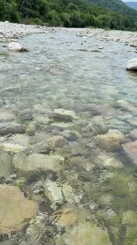 The video shows a close-up, low-angle shot of a shallow, clear river flowing over a rocky bed. The water is transparent, allowing the submerged stones and pebbles to be seen. The river flows from left to right, with ripples and currents visible on the surface. In the background, the river widens and extends towards a lush, green landscape of trees and mountains under a cloudy sky. The lighting suggests it is daytime, possibly late morning or afternoon. There are no people or animals visible in the frame.