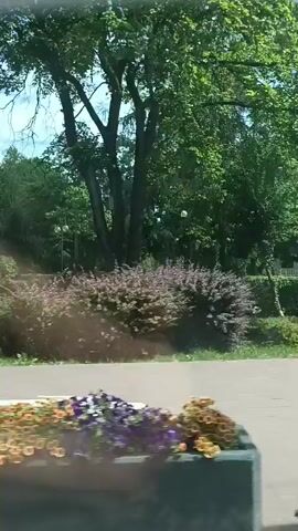 This is a video taken from a moving vehicle, likely a car, looking out through the windshield. The view is of a park-like area with trees and greenery. There is a paved path and a street in the foreground. In the background, there is a large statue on a pedestal, a fence, and more trees. The weather appears to be sunny with some clouds in the sky. The video pans from left to right as the vehicle moves, showing different parts of the park. There are no people clearly visible in the video.