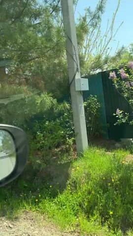 The camera moves through a lush, green environment, capturing glimpses of houses and fences. Initially, the focus is on dense foliage, with a hint of a turquoise fence and a building in the background. As the camera pans, a structure with a weathered roof comes into view, partially obscured by greenery. A sign with what appears to be Cyrillic characters is briefly visible. The shot then reverts to the fence and trees, emphasizing the abundant vegetation. The camera's movement suggests a casual, exploratory view of a residential area on a sunny day.