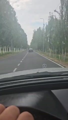 A first-person perspective video shows a person driving a car down a tree-lined road. The car is moving forward on an asphalt road with white dashed lines. There are tall trees with green leaves lining both sides of the road. In the distance, another car is visible driving in the same direction. The sky is overcast with some clouds. The driver's hand is visible on the steering wheel.