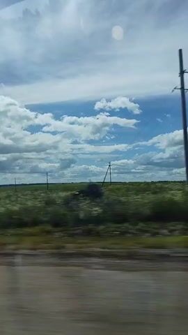 The video shows a view from inside a moving vehicle, looking out over a field of green vegetation under a blue sky with scattered white clouds. The ground in the foreground is blurred due to the motion of the vehicle, appearing as brown and grey streaks. In the distance, there are a few utility poles visible in the field, and what appear to be small structures or trees on the horizon. The lighting suggests it is daytime, possibly late morning or afternoon.