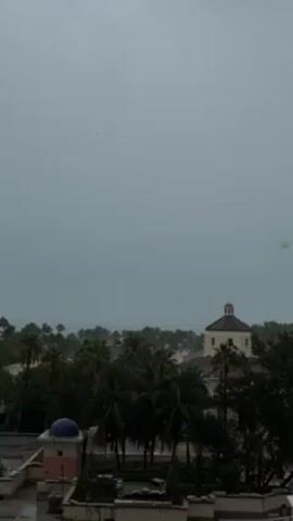 The video presents an overcast outdoor scene of a cityscape, with buildings, trees, and foliage. Dominating the view is a structure with a dome-shaped roof located towards the right of the frame. To the left is another building with a distinct dome, suggesting an architectural theme within the setting. 

The sky is uniformly gray, indicative of heavy cloud cover and potentially rainy conditions. The foliage and trees appear dark and dense, adding to the somber atmosphere. Palm trees are interspersed among the greenery, suggesting a tropical or subtropical location.

There are no visible people in the shot. The camera angle appears to be from an elevated position, possibly a high-rise building, overlooking the urban landscape. The scene suggests a moment of stillness or a calm before or after a storm, characterized by muted colors and a lack of vibrant activity.