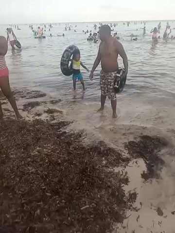The video shows a crowded beach with significant seaweed buildup on the sand. Several people are visible both on the beach and in the water. A shirtless man in patterned shorts is walking towards the water, carrying an inflated tire. A child, wearing a yellow tank top and blue shorts, also carries a tire into the water. A woman in a pink and white striped swimsuit stands on the beach near a pile of tires. The camera pans across the thick seaweed covering the sandy beach. At one point, the child is carrying a stack of the tires, struggling with the weight.
