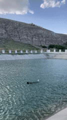 Swimming and carnival activities documented in Loralai, Pakistan