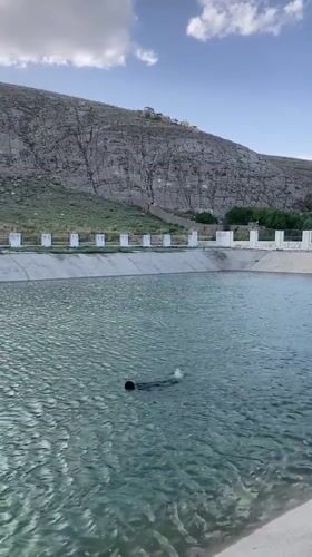 Swimming and carnival activities documented in Loralai, Pakistan