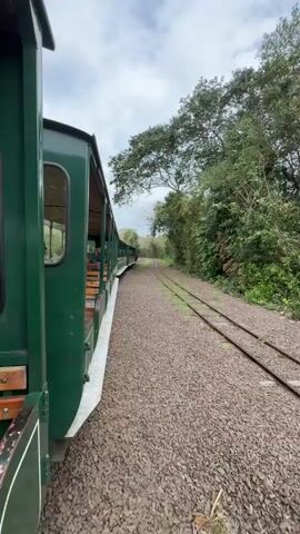 The video shows the exterior of a green train car with wooden benches visible through open windows. The train appears to be moving along a track surrounded by lush green trees and foliage on the right side. The track itself is made of gravel and runs parallel to the train. The sky is overcast with some visible clouds and trees branching out from the right side towards the sky. The camera is positioned low, looking down the length of the train as it moves forward.