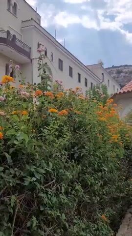The video shows a walking path made of bricks leading into a courtyard. On the left side of the path is a tall green hedge with orange and pink flowers. Behind the hedge is a white building. On the right side of the path is a circular gazebo with a red tiled roof. In front of the gazebo is a large palm tree. The background shows a hill with vegetation and a cloudy sky.