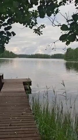 A wooden dock with a bench extends into a calm lake. The water reflects the cloudy sky and the surrounding trees. The dock is made of weathered planks and has a small extension at the end. Tall grass grows along the edge of the water. The trees in the background are dense and green. The scene is peaceful and natural.