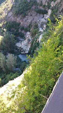 This is a vertical, high-angle video of a scenic view from a high vantage point, looking down into a gorge with a waterfall. The sun is shining brightly, casting shadows and highlighting the lush greenery and rocky cliffs. The vegetation consists of dense trees and bushes, with some lighter green foliage visible in the foreground. The waterfall itself is a thin stream of water cascading down a rocky face into a pool below. The cliffs are jagged and layered, with patches of green growth clinging to them. The sky is not visible in the frame. The video appears to be taken in a natural, undeveloped area.