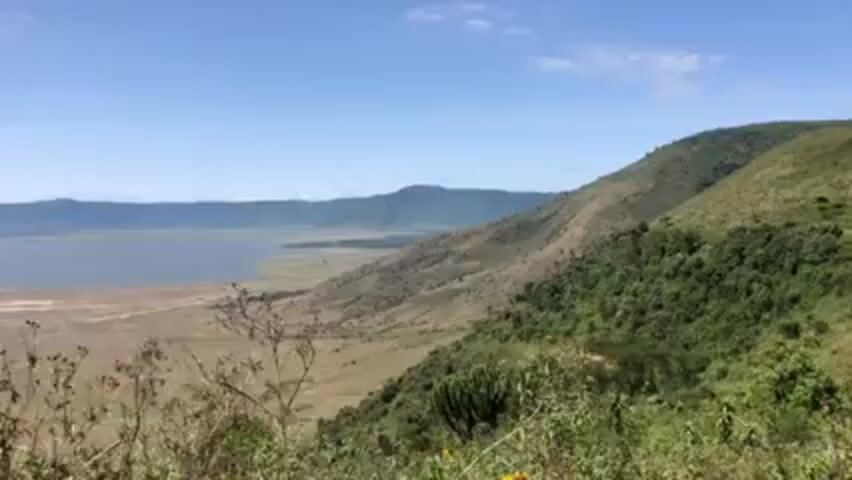 Here's a concise description of the video:

The video shows a wide shot of a vast crater landscape in Africa, likely the Ngorongoro Conservation Area in Tanzania. A large, shallow lake dominates the center of the crater floor, surrounded by grassy plains and patches of woodland. The crater walls are visible in the background, rising up to meet a clear blue sky. The view is from a high vantage point, with some foreground vegetation in the lower part of the frame. The scene appears still and quiet, with no immediately visible human activity.