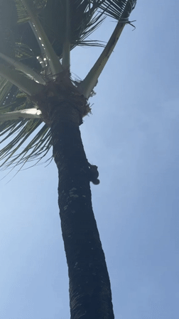 Beach event with dancing, staging equipment observed in Kuta Selatan
