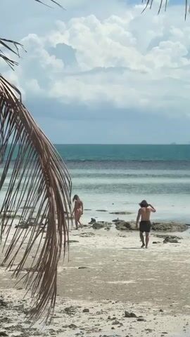 The video shows a tropical beach with a person walking towards the ocean. The person has long, dark hair and is wearing black shorts. They are walking on a sandy beach with rocks and shallow water. In the background, there are palm fronds in the foreground, the ocean, and a cloudy sky. Another person is visible in the distance walking towards the water.