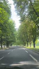 Cyclist rides tree-lined road as vehicle passes nearby