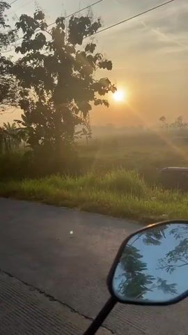 The video captures a serene sunrise over a rural landscape, likely viewed from the perspective of a moving vehicle, possibly a motorcycle, given the presence of a side mirror in the foreground. The sun is low in the sky, casting a warm, golden light that diffuses through a gentle morning mist. Lush greenery dominates the scene, with banana trees and other vegetation clearly visible. The road in the foreground is paved and shows signs of wear. The overall impression is one of peaceful natural beauty at the start of a new day.