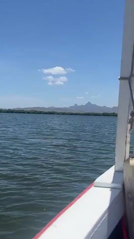 The camera is positioned on a boat on a large body of water, possibly a lake or bay, under a clear blue sky with scattered cumulus clouds.  The water is dark and rippled. In the distance, a line of trees extends across the horizon, backed by low-lying mountains. There are no people visible. The boat is moving, as suggested by the rippling water, but no specifics about speed or direction are discernable. A bird flies across the sky.