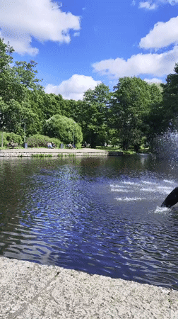 Tallinn park fountain with bronze sculptures documented by witnesses