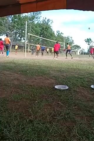 The video shows a volleyball game being played on a grassy field. The volleyball net is strung between two poles. There are several people on the field, some are wearing orange shirts and shorts, others are wearing red shirts and shorts, and there is at least one person wearing a blue shirt and pants. Some of the people are actively playing volleyball, while others are standing around watching. The ball is in the air during the clip. The camera is positioned under a tent, with plates visible on the ground in the foreground. Trees are visible in the background, and the sky is slightly cloudy.