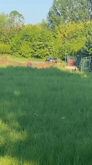 Rural scenes documented in Buk, Poland during afternoon