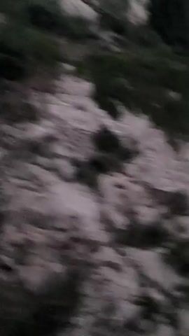 The video is a blurred, shaky, and dark footage of a natural environment. It appears to be a roadside view from a moving vehicle, possibly in a mountainous or forested area. There are glimpses of trees, rocks, and possibly a road or path. The lighting is dim, suggesting it might be dusk, dawn, or a cloudy day. The overall impression is one of motion and a somewhat obscured view of the surroundings.