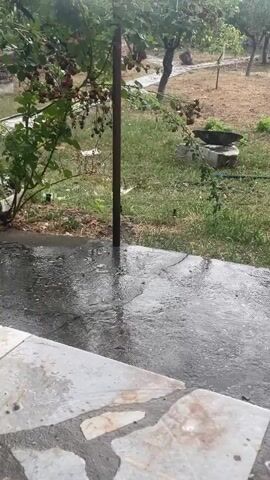 The video shows a backyard scene during a rain shower. Water is visible falling from above and splashing onto a wet paved area in the foreground. Beyond the pavement is a grassy area with some dry patches. Several trees are scattered throughout the yard, some with green leaves and others with sparser foliage. A large, circular stone object, possibly an old millstone, stands on a pedestal behind a tree on the left side of the frame. A black hose or pipe runs across the ground in the middle distance. The overall environment appears to be a rural or semi-rural setting.