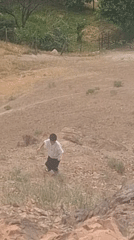 Morning life scenes documented across Khujand, Tajikistan