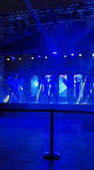 Outdoor stage show with acrobats, aerialists, and costumed performers