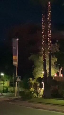 The video shows a nighttime outdoor scene. Two palm trees are decorated with strands of small, warm-toned lights that wrap around their trunks. To the left of the palm trees, a tall pole with a flag is visible. The flag appears to have red and yellow stripes and a crest or emblem. A small triangular road sign is also present near the base of the flag pole. The background consists of dark foliage, with some trees illuminated by spotlights, casting green and yellow light. In the distance, other lights are visible, including what appears to be a building with a pinkish hue. The ground in the foreground is paved with a curb and grassy areas. The sky is dark, indicating it is nighttime.