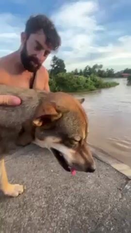 A man stands shirtless with a brown and gray dog by a river. The dog pants with its tongue hanging out. The man pets the dog on the head and back. The river is wide and muddy. The sky is cloudy. Vegetation is visible on the opposite side of the river. The scene is filmed in daylight.